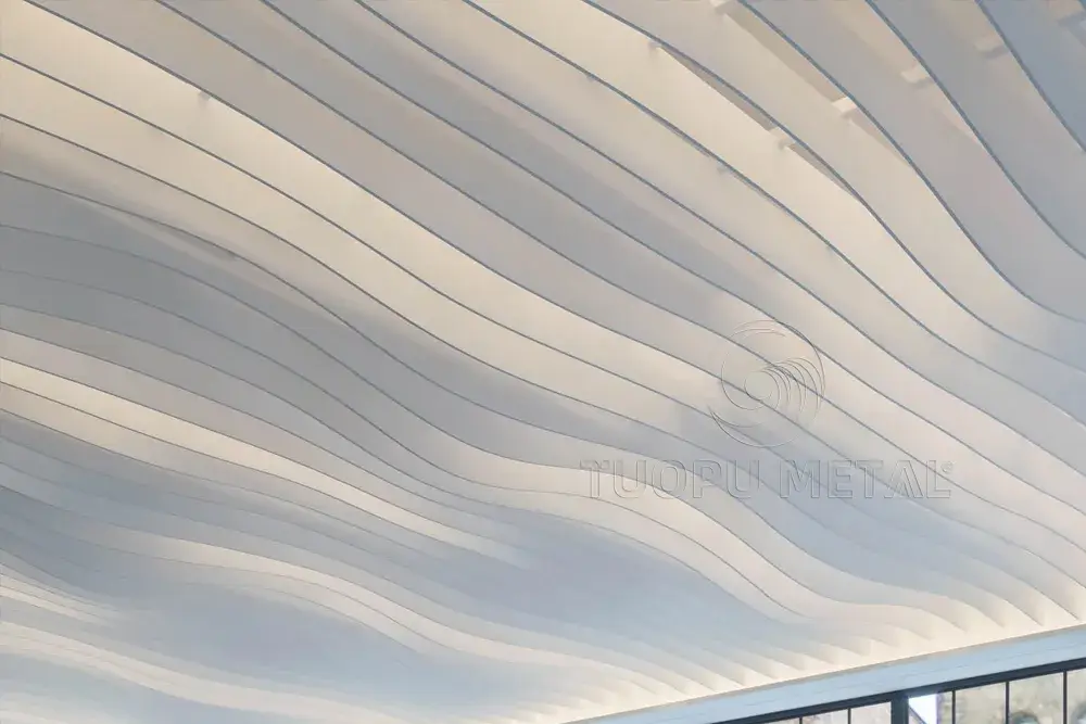 Showing the dynamic curved ceiling.